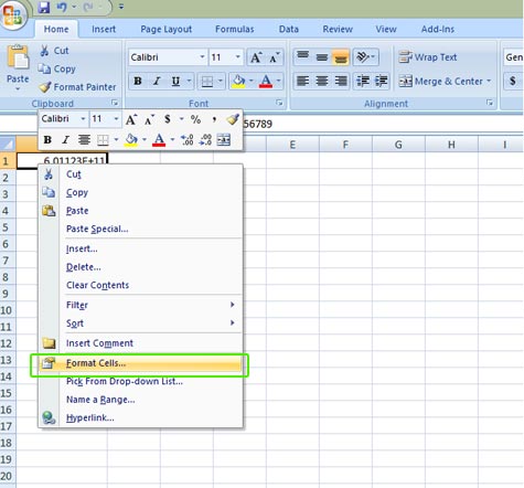 Bulk SMS End User Guide Microsoft Excel Cell Number Format