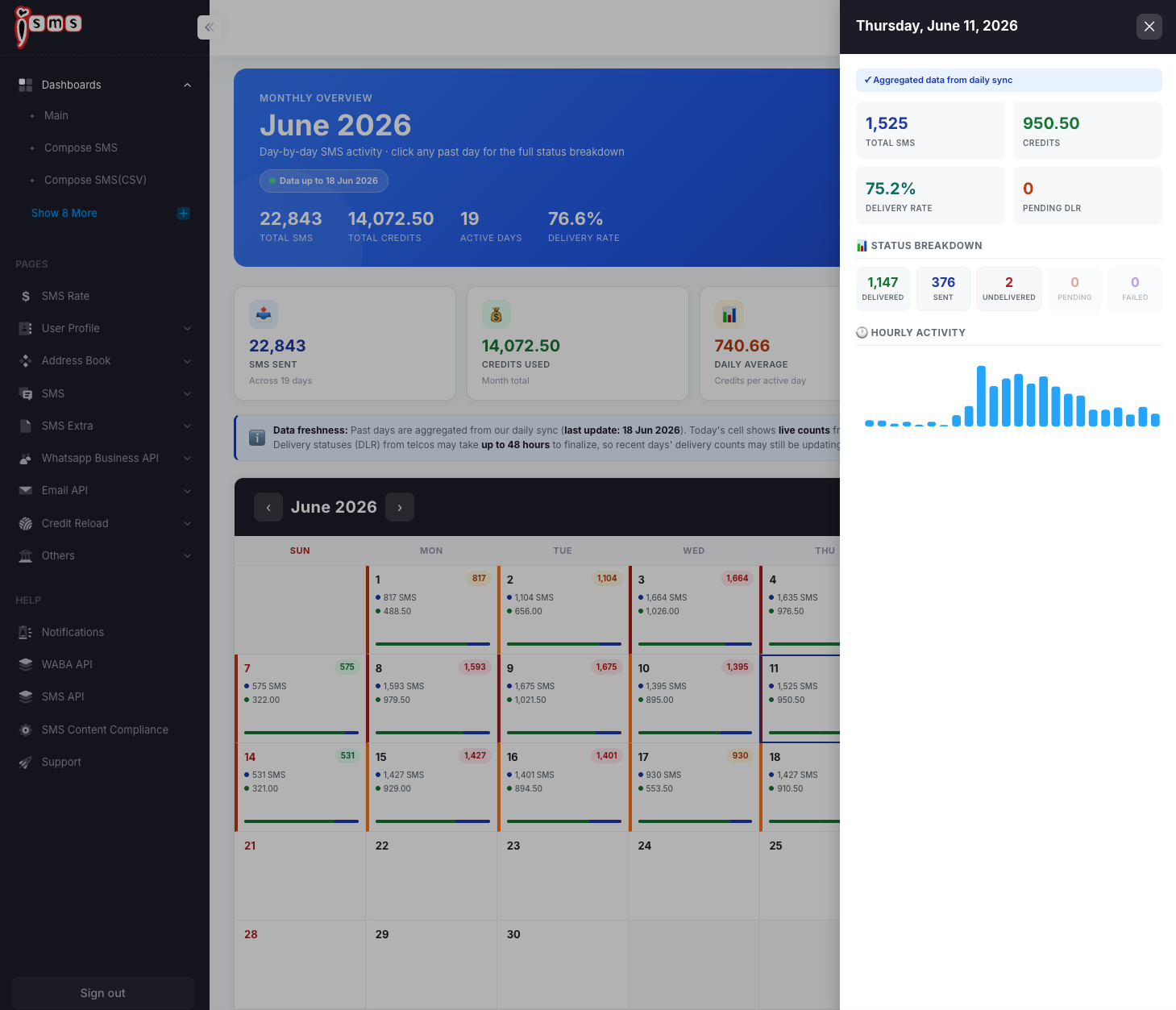 A single day selected in the calendar, showing total SMS, credits, delivery rate, status breakdown, and hourly activity.